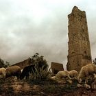 "Mystisches im Hochland Algeriens"