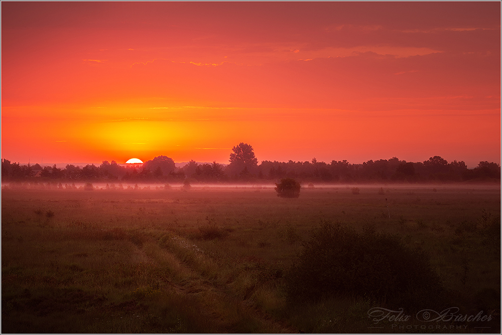 Mystisches Licht im Moor