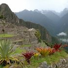 Mystisches Machu Picchu 6