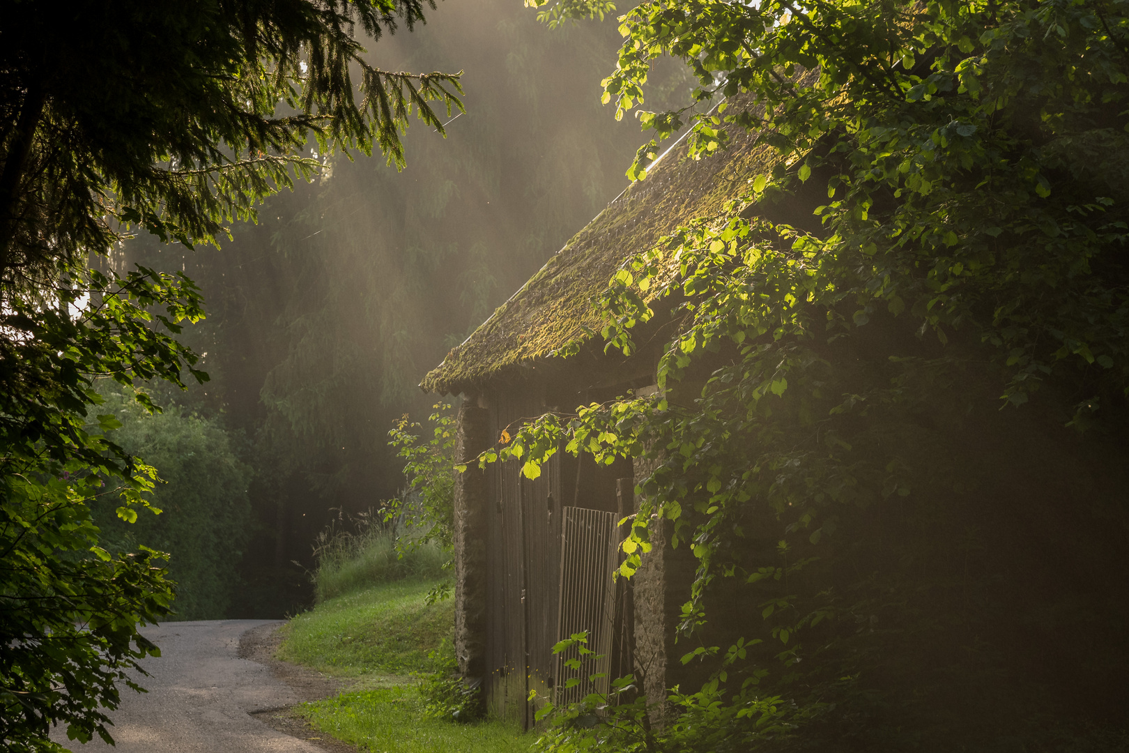 Mystisches Morgenlicht