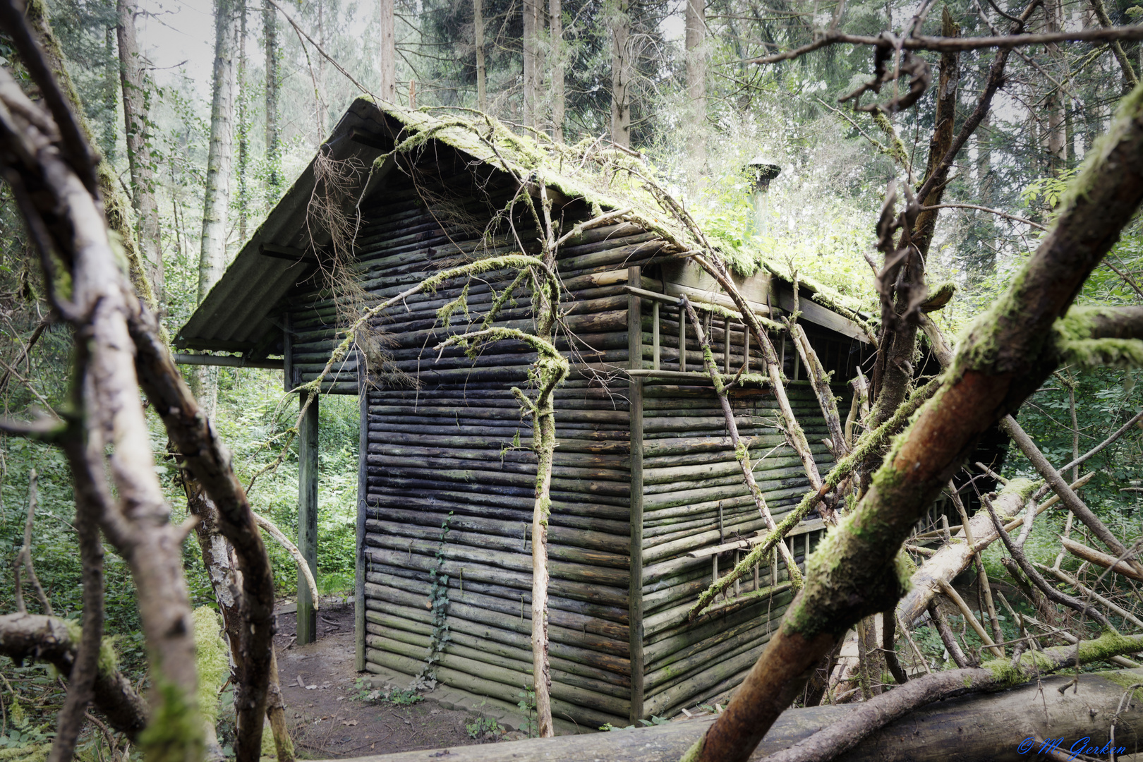 Mystisches verlassenes Waldhaus