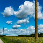 MYSTISCHES WALDVIERTEL