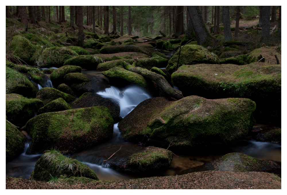 Mystisches Waldviertel