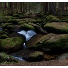 Mystisches Waldviertel