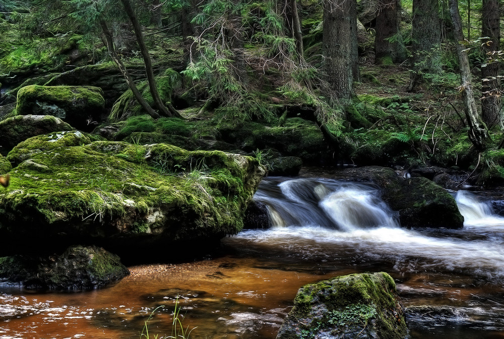 Mystisches Waldviertel