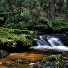 Mystisches Waldviertel