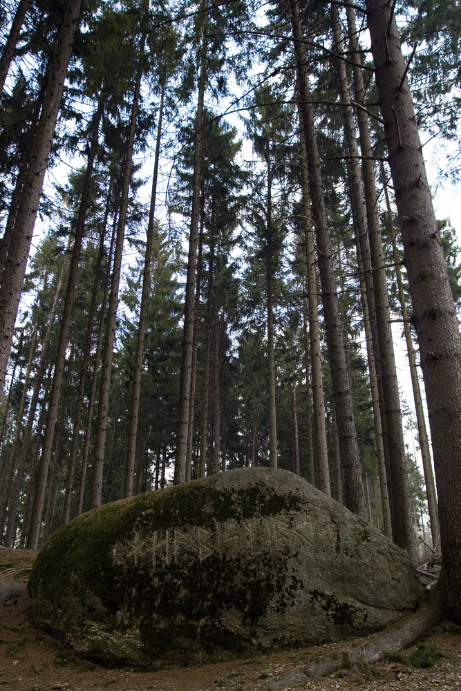 Mystisches Waldviertel_1