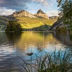 Mythen, Lauerzersee und kleine Insel Schwanau