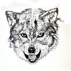Mythos "böser" "Wolf