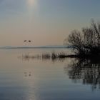 Mytische Licht am Chiemsee