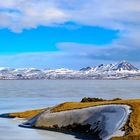 Myvatn