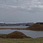 Myvatn II der Mückensee