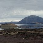 Myvatn III der Mückensee