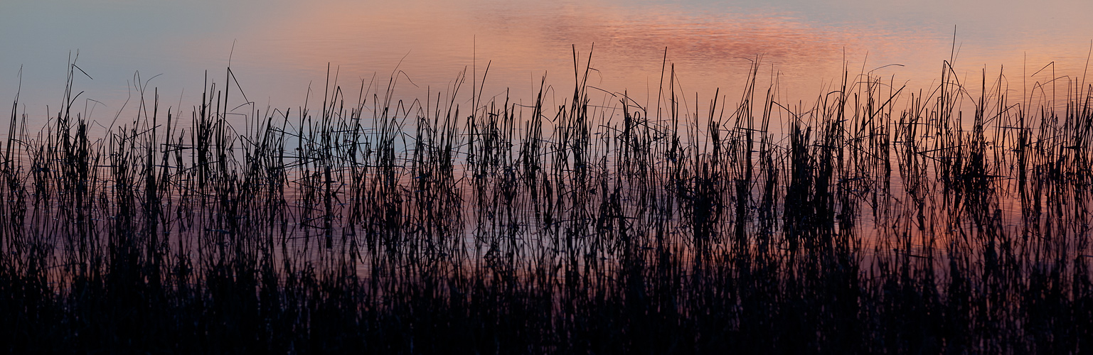 Myvatn late night - Island #3058