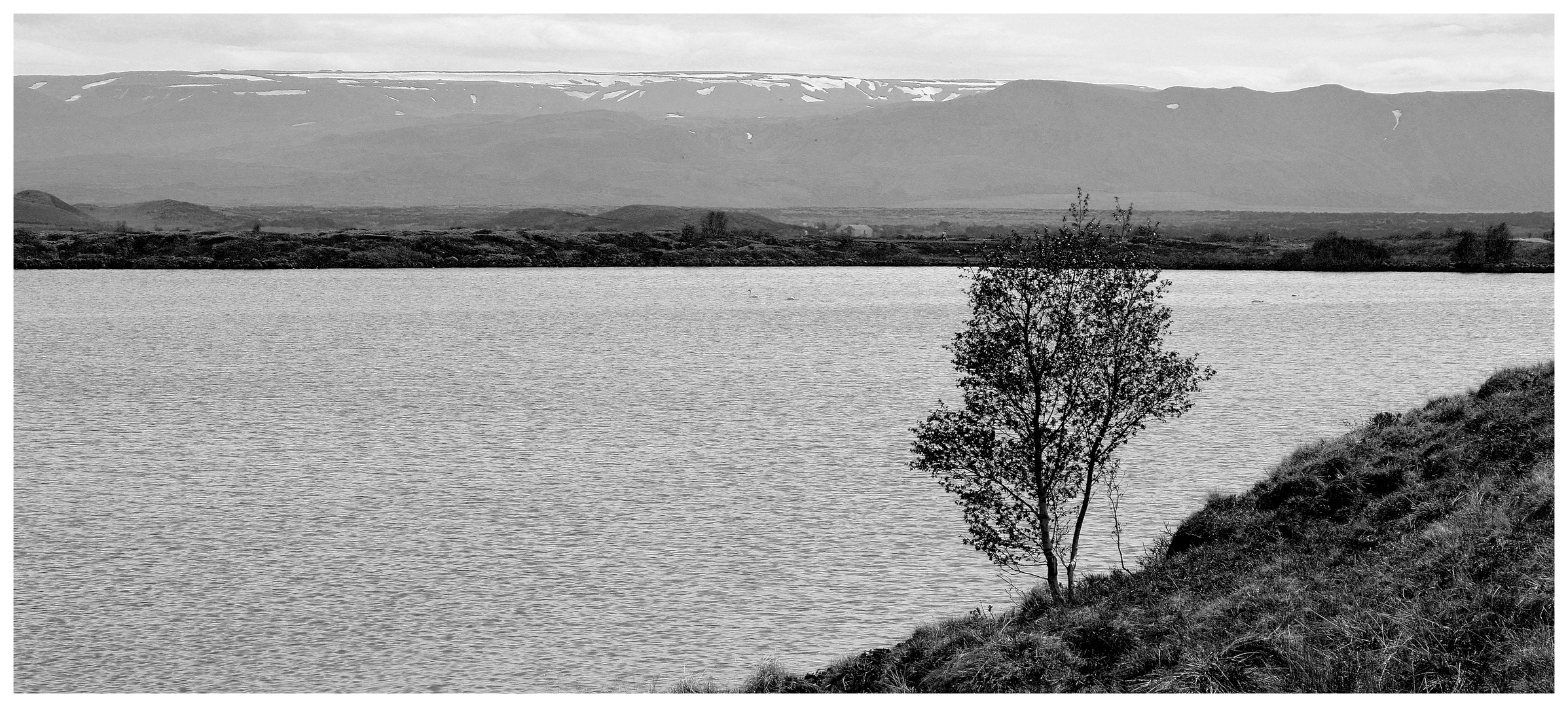 Myvatn-See / Island