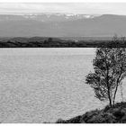 Myvatn-See / Island