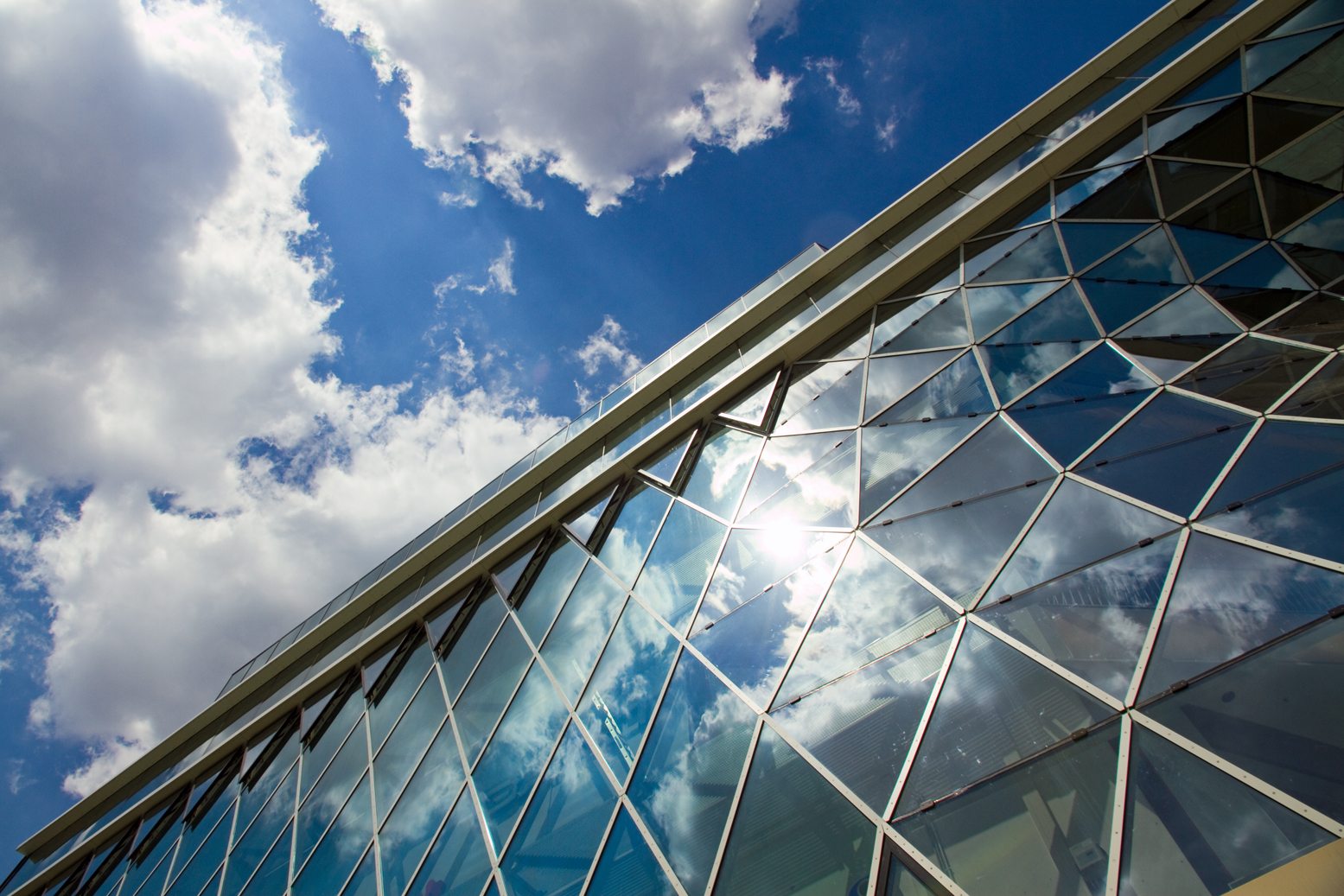 MyZeil - Summer Reflection