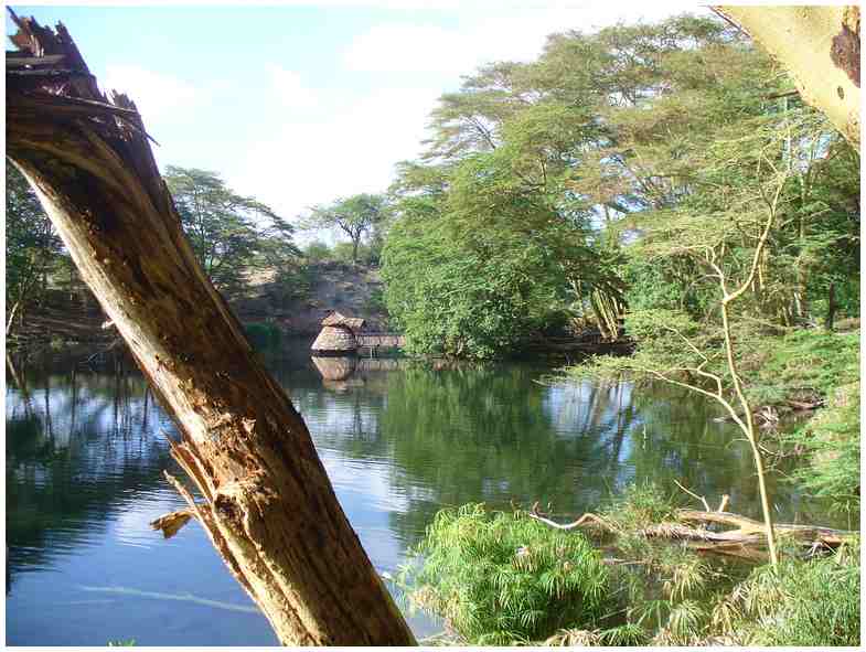 Mzima Springs