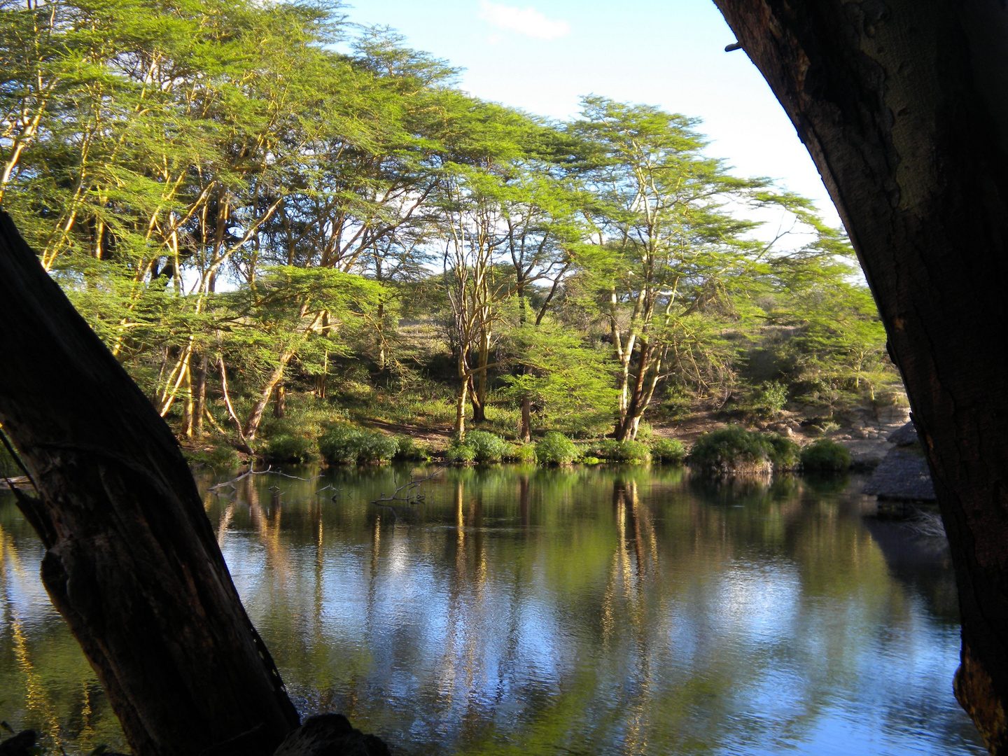 Mzima Springs Tsavo West