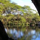 Mzima Springs Tsavo West