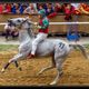 Palio di Asti 2009