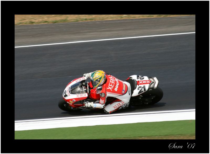 n° 21 Bayliss Troy - Ducati