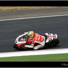 n° 21 Bayliss Troy - Ducati