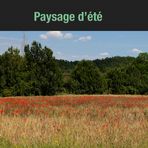 N° 24 "Paysage d'été"