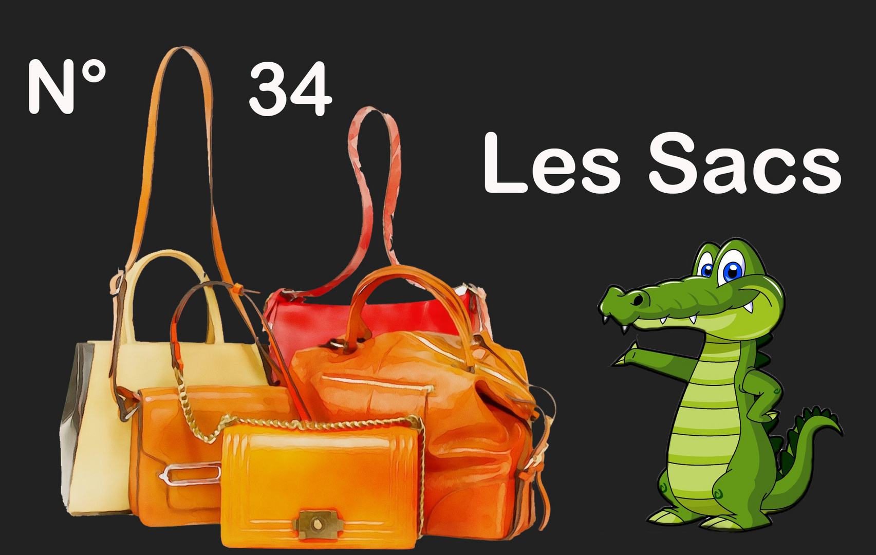 N° 34 les sacs 