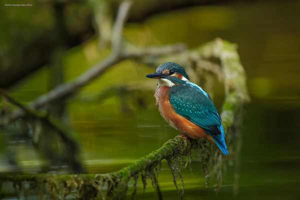 . . n a h e z u . m ä r c h e n h a f t . .