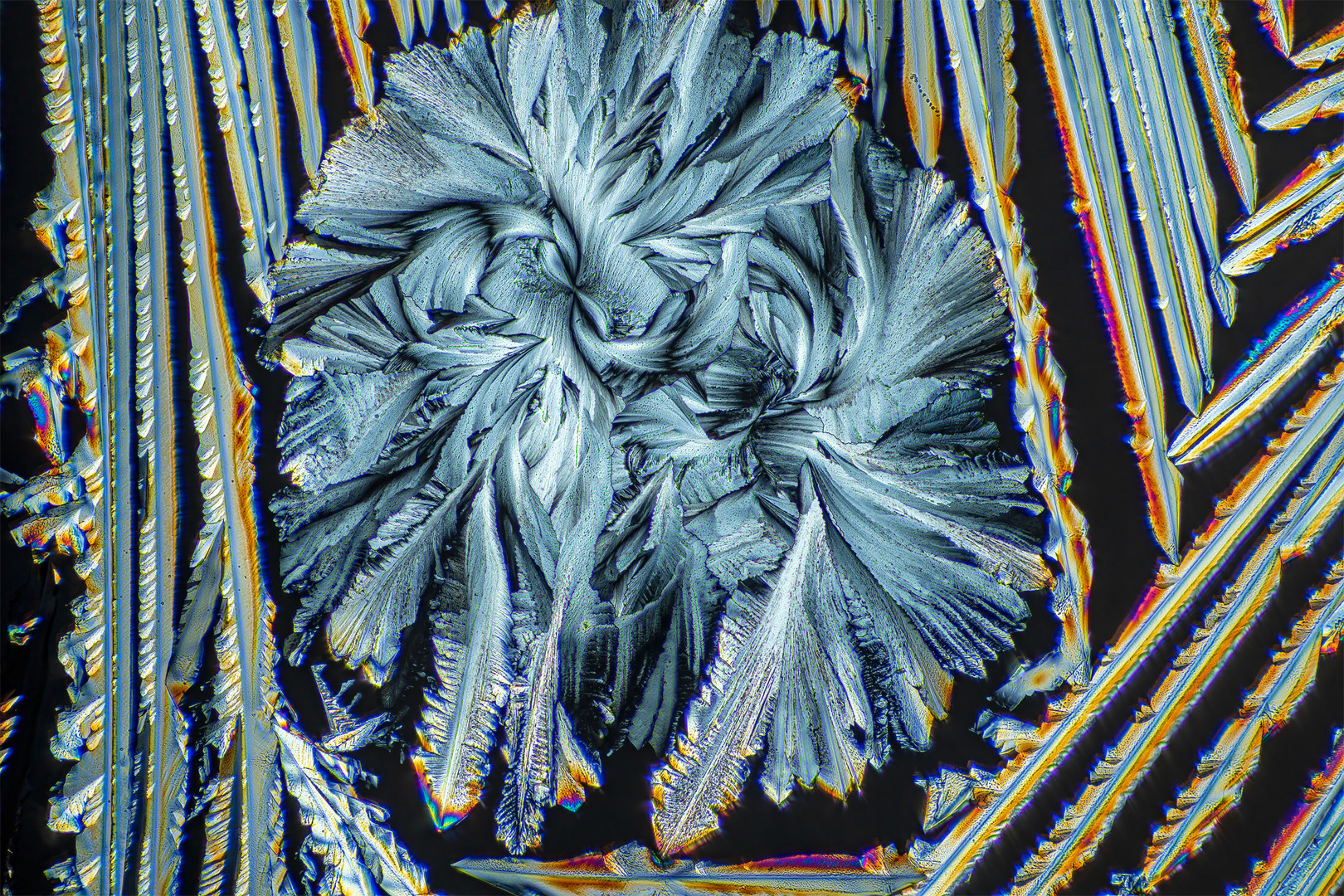 N-Acetylcystein (NAC)_05