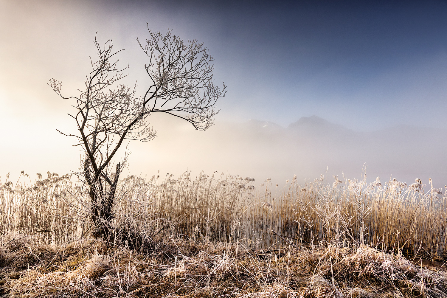 'n bisschen winter ...