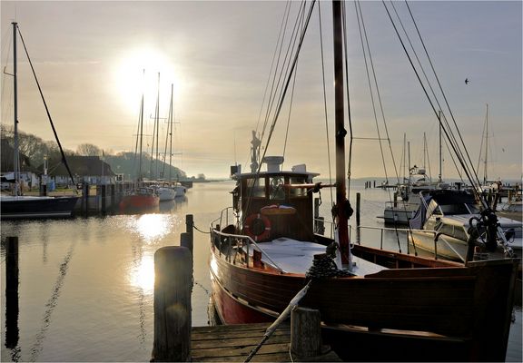 N E B E L M O R G E N