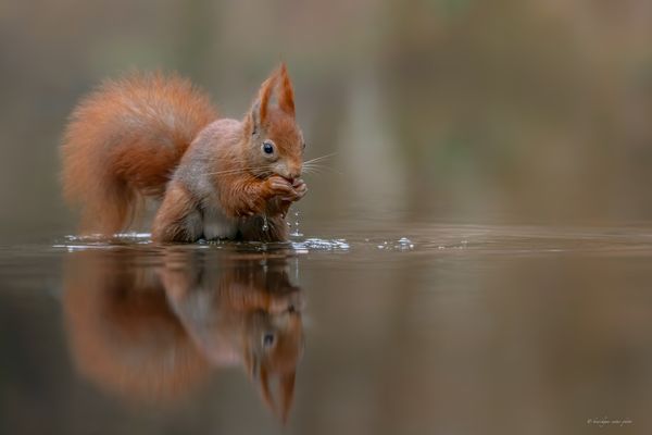 „ n e i n ! ! !  w i r . w a r e n . e s . n i c h t “