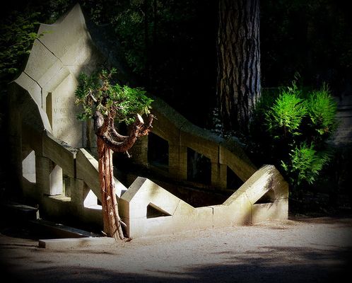 N I E . W I E D E R . !