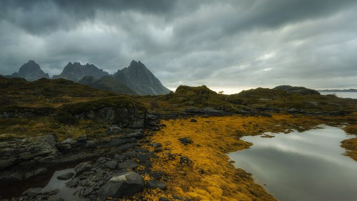 N O R W E G I A  N _M O O D