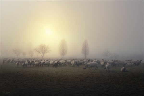 N O V E M B E R M O R G E N...