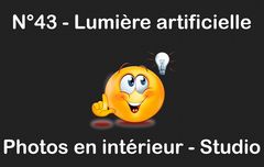 N°43 Lumière artificielle 