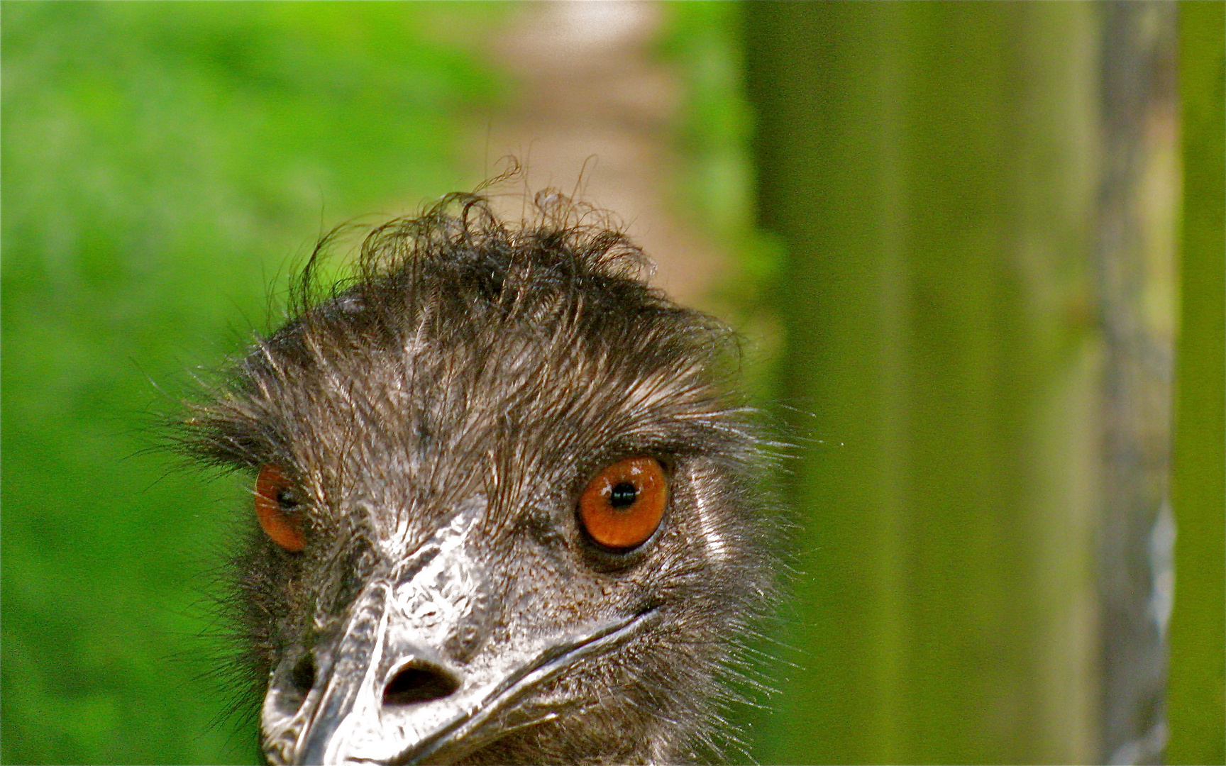 ..NA DA FALLEN MIR DOCH GLATT DIE AUGEN RAUS !!!::