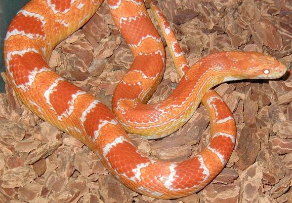 Na, Da schau ich aber