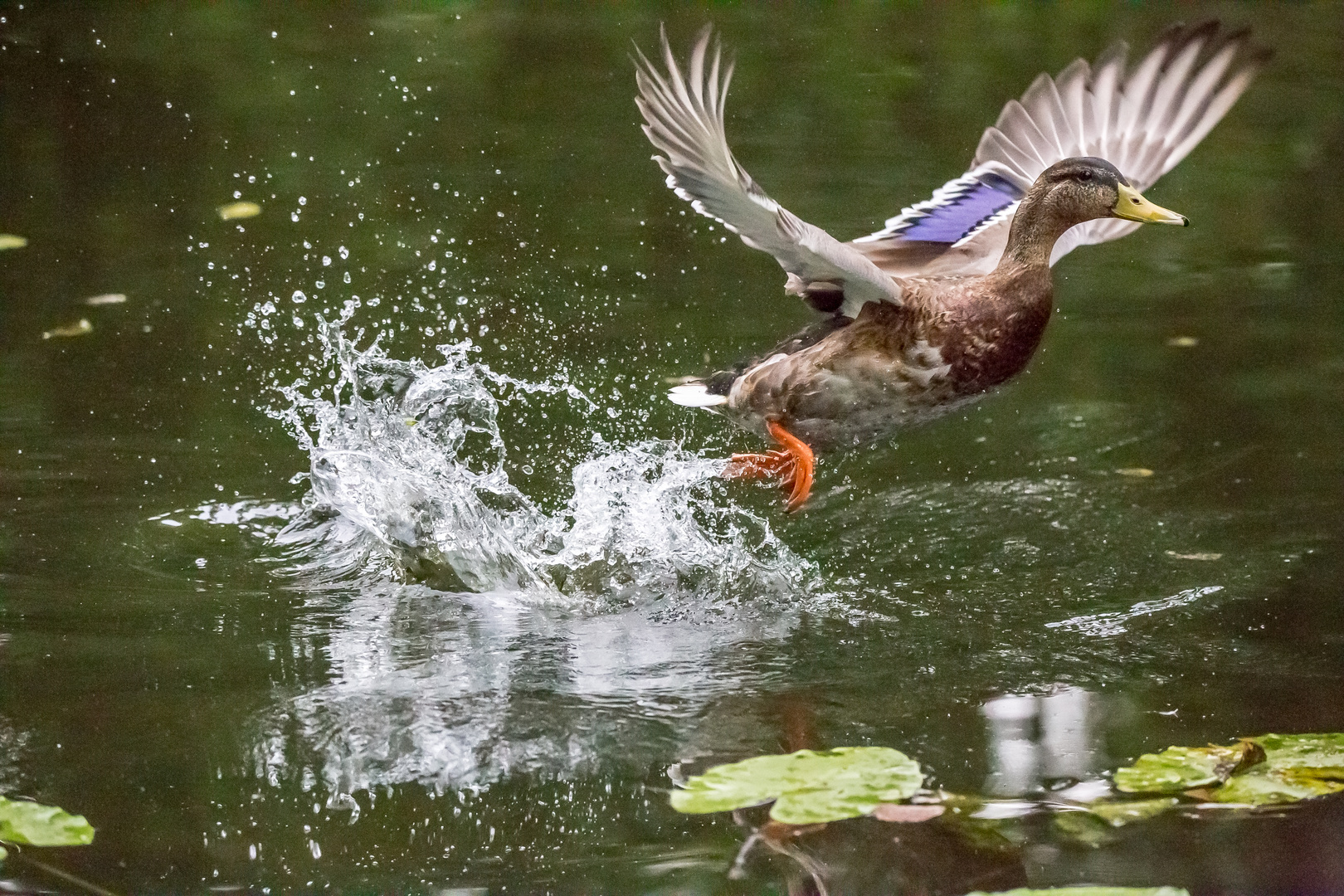 Na, dann mach ich mal nen Abflug