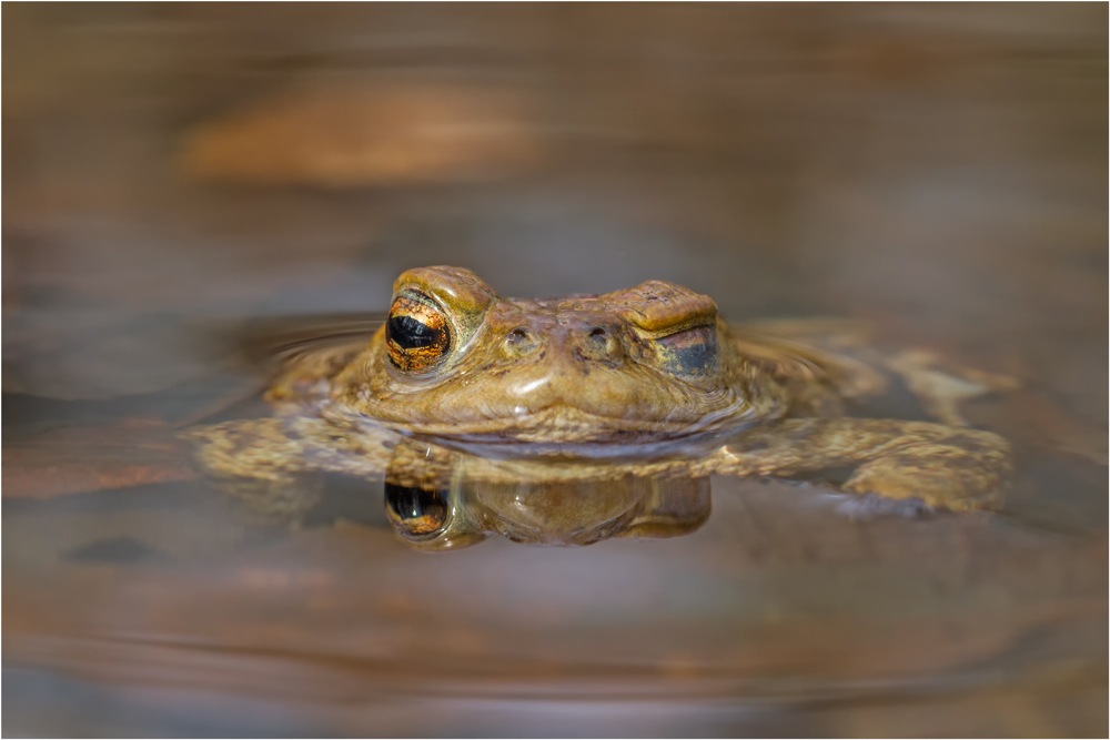 Na ... dann wollen wir doch mal ein Auge zudrücken!