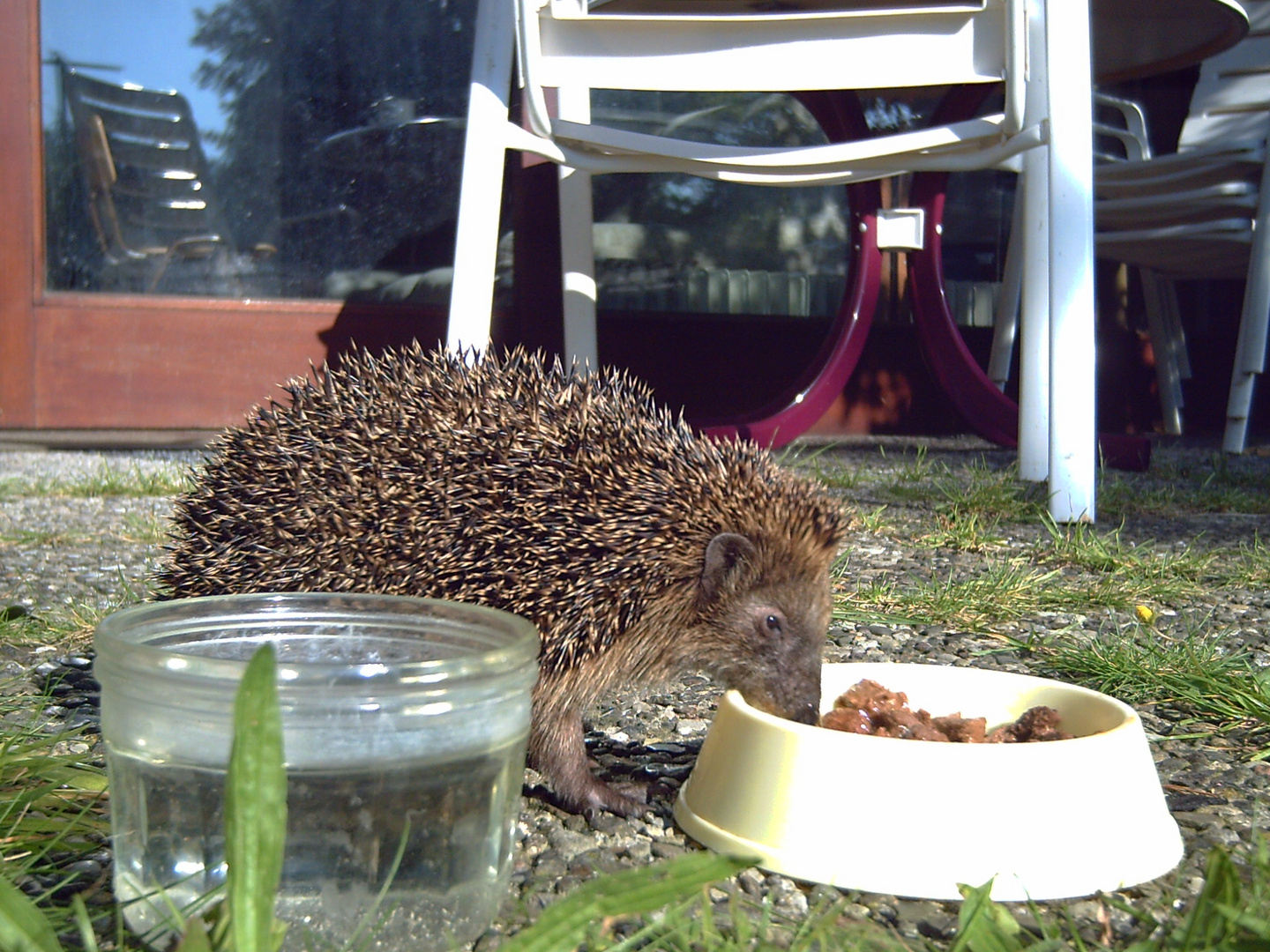 na , das riecht lecker