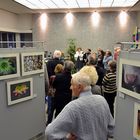 "Na dran" FotoKreis Schopfheim Ausstellung 3.