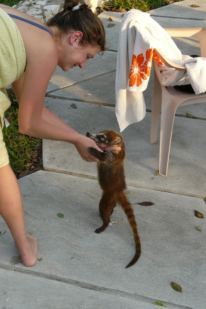 Na, du kleiner Nasenbär!