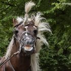 Na DU siehst ja aus? Und da fotografierst DU MICH????