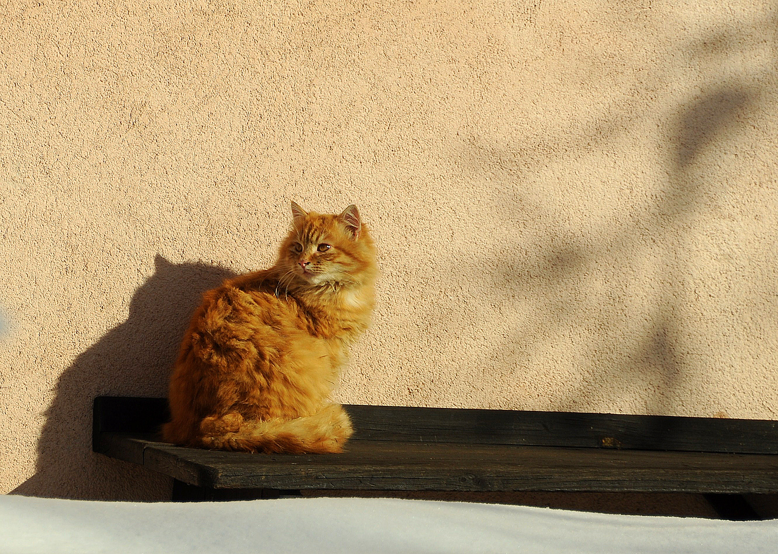 na endlich, da ist die Sonne ja wieder