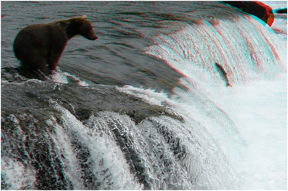 Na endlich - da Springt er - 3D Anaglyphe