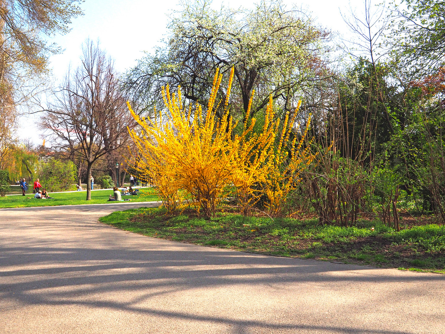 Na endlich ist der frühling da!