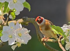 Na, fotografierst Du wieder ....?